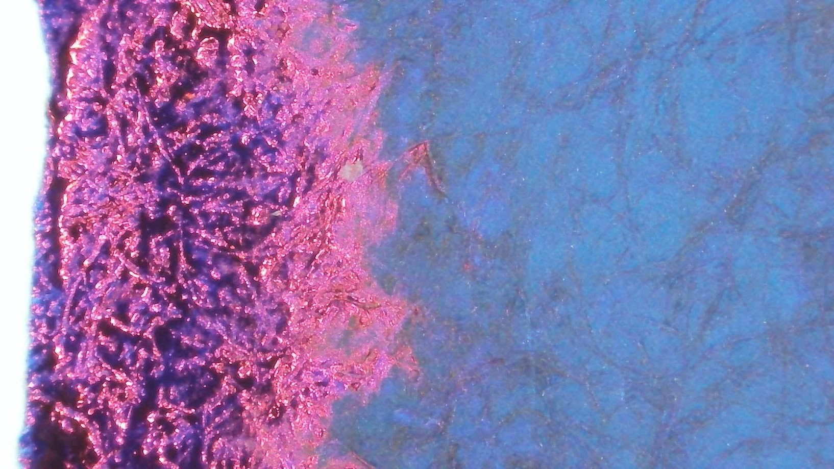 Microscope photo of ink on the Iroful swatch card. Paper fibers are visible. On the right the ink is dark blue with even darker blue on the paper fibers. Some have a slightly red tint. On the left is very reflective and varies between purple and magenta.