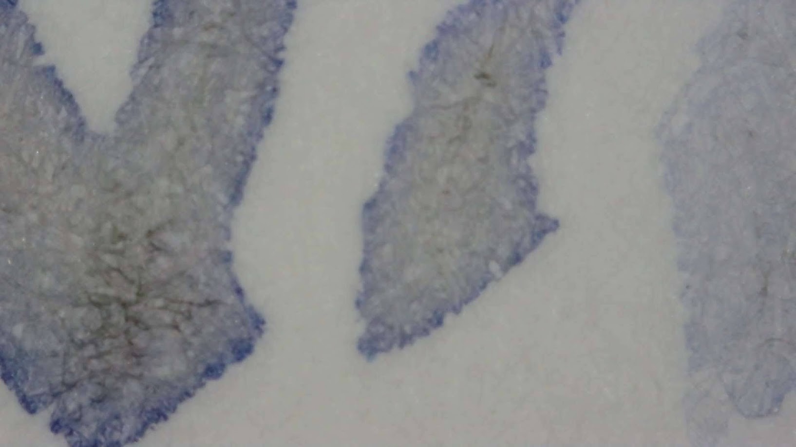 Photo of ink writing on paper under magnification. Paper fibers are visible. No specific letters can be made out. There are both blue and dark gray areas in the lines, with some paper fibers being very dark gray, and some lighter areas being almost completely light blue. The edges of lines are darker blue.