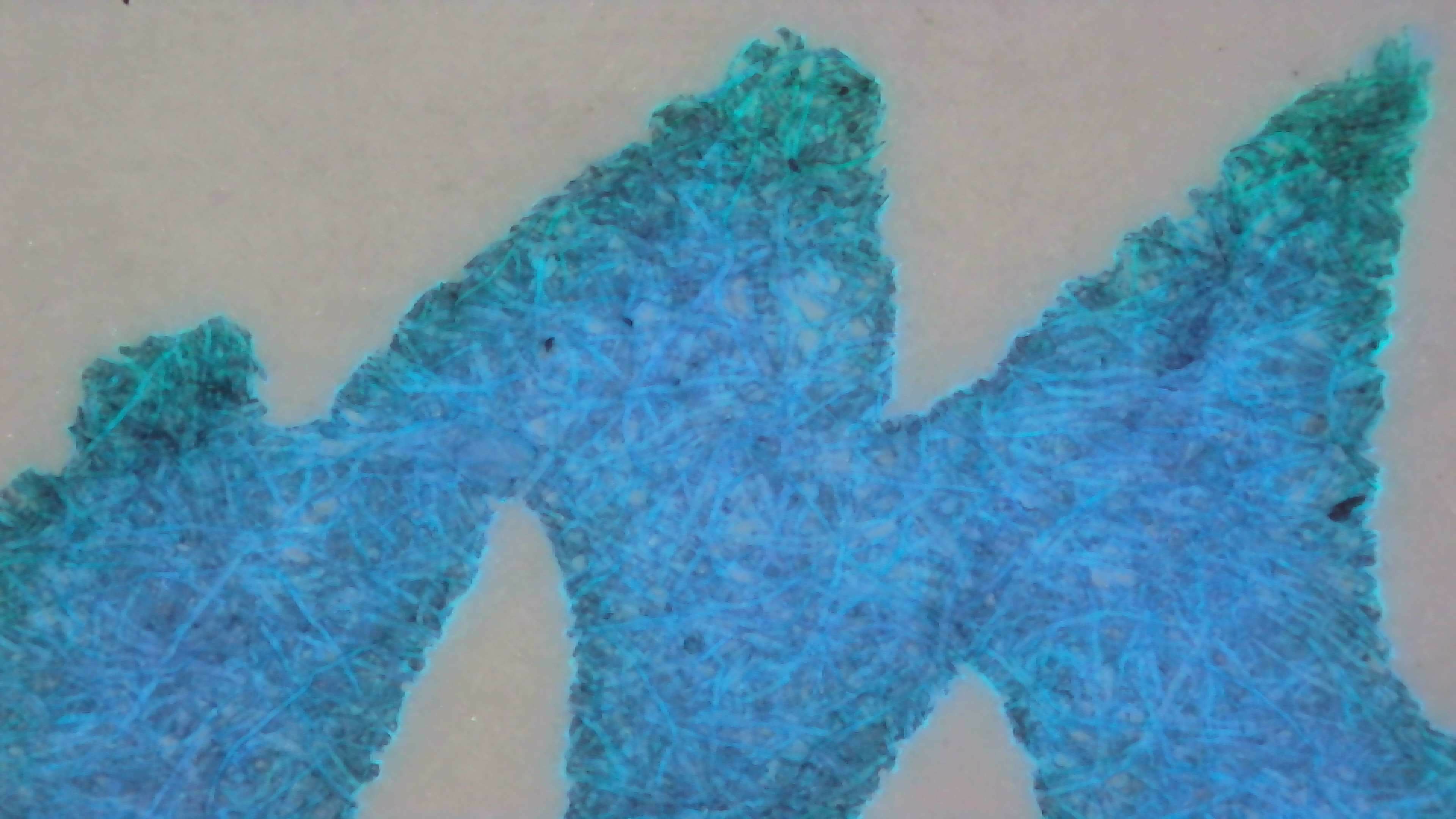 Same as the last photo but under a mix of natural and UV light. Most of the letter is glowing brightly blue, the top of the lines is glowing green.