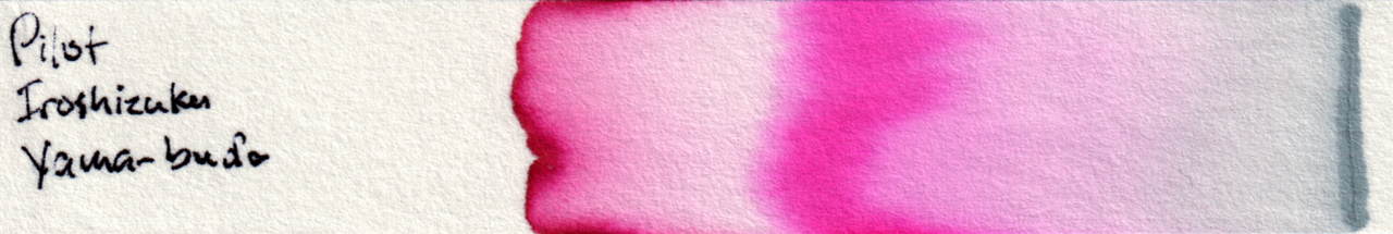 Scan of chromatography paper.
